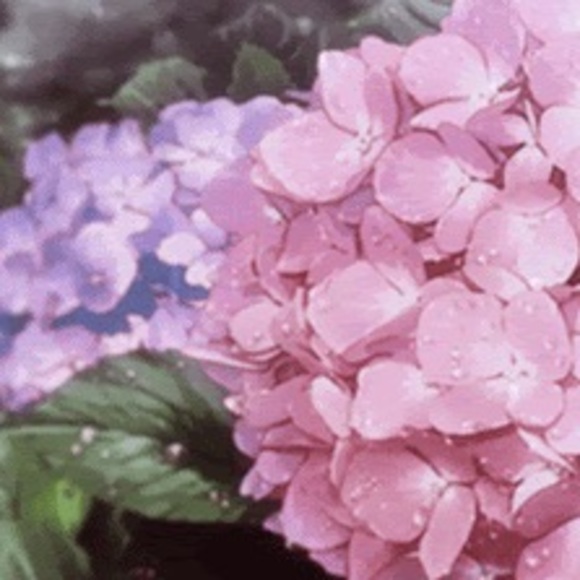 Meet your Posher, Keira - Picture 1 of 1